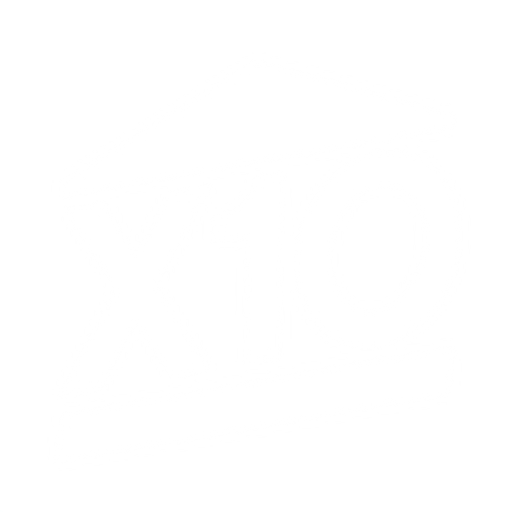 X10 Home Automation logo