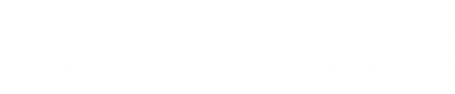 VANKYO logo