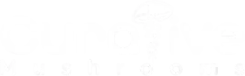 Curative Mushrooms Shop logo