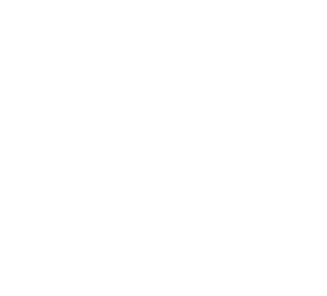 Intelligent Nutrients™ logo