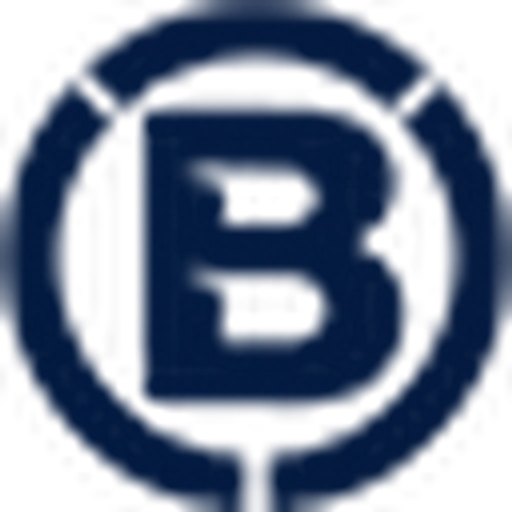 Blonyx US logo