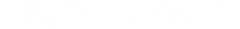 Lacy Nighty logo
