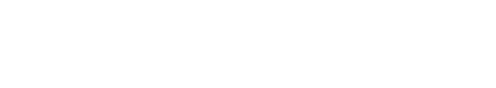 The Website Flip logo