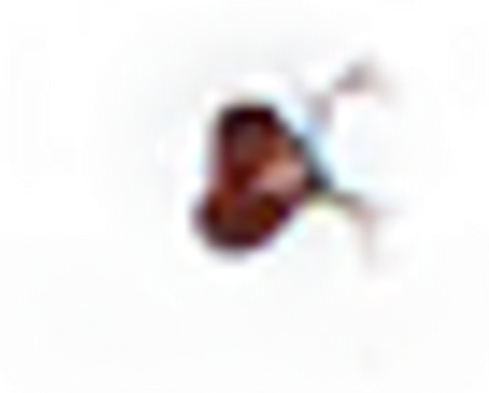 Radioddity logo