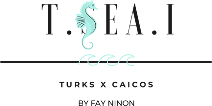 Fay Ninon logo