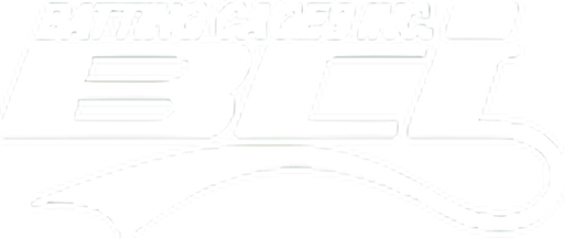 Batting Cages Inc logo